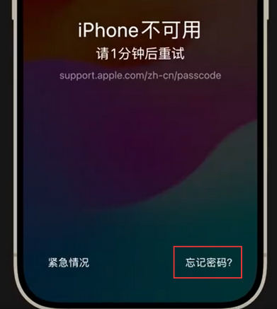 衢江苹果手机密码维修分享iPhone忘记了刚设置的密码 