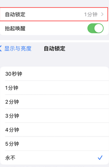 衢江苹果换屏维修分享无法调整iPhone自动锁屏的时间怎么办