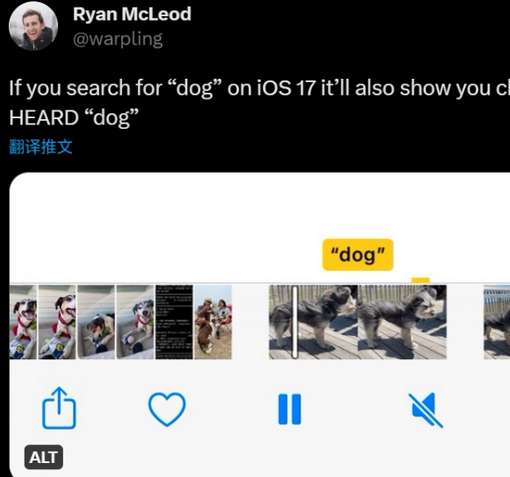 衢江apple维修店分享通过关键字搜索iPhone视频内声音