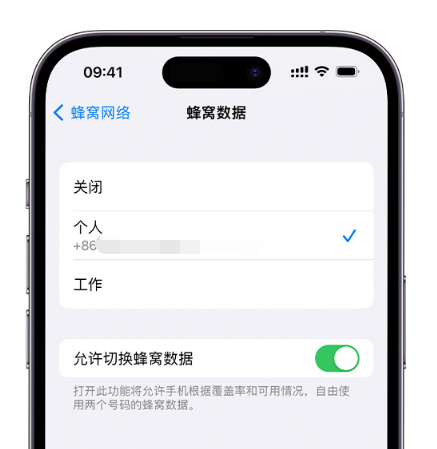 衢江苹果维修服务分享如何在iPhone上使用双卡 